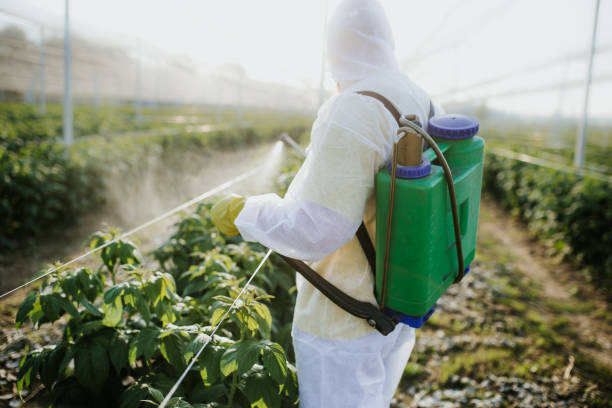 Trusted Smithfield, VA Pest Control Experts